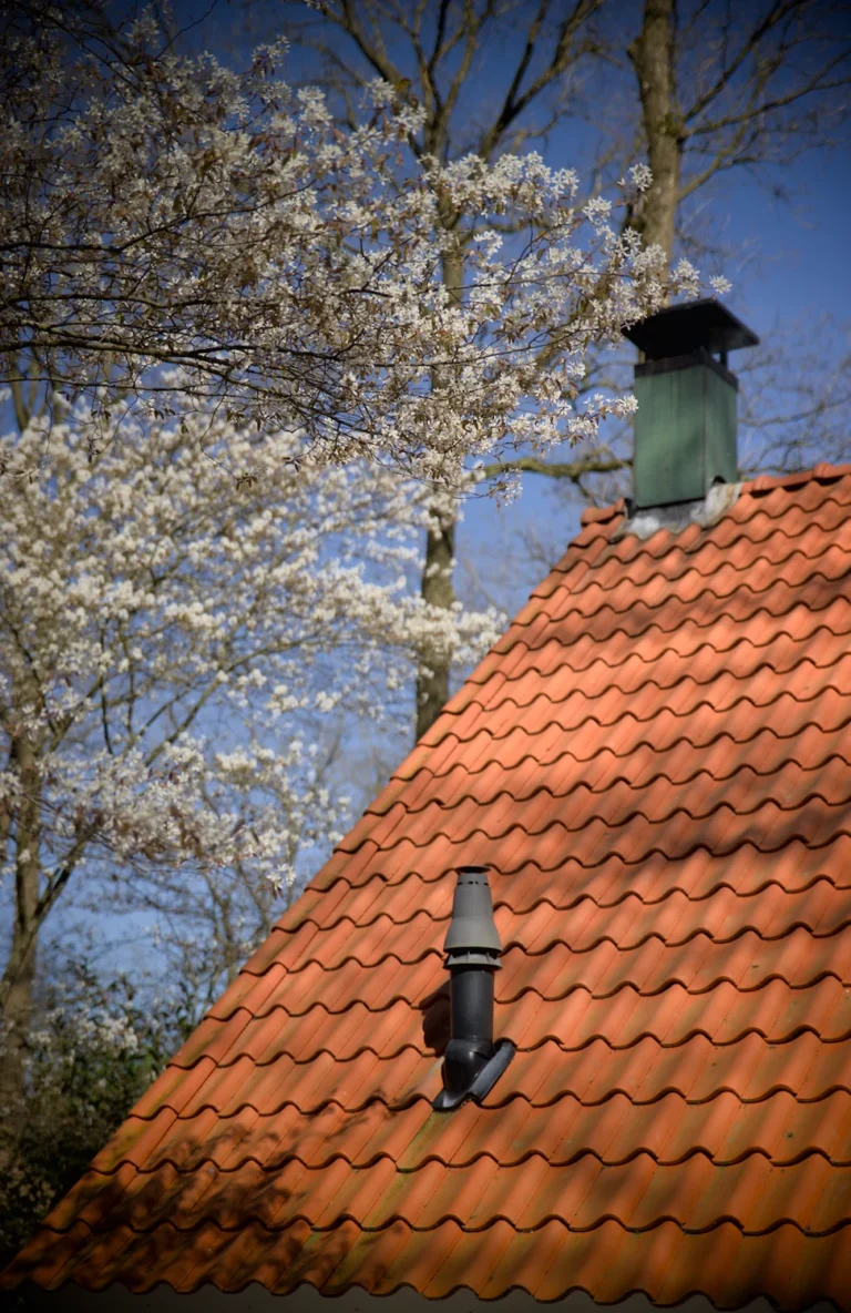 Rood pannendak met boom en blauwe lucht