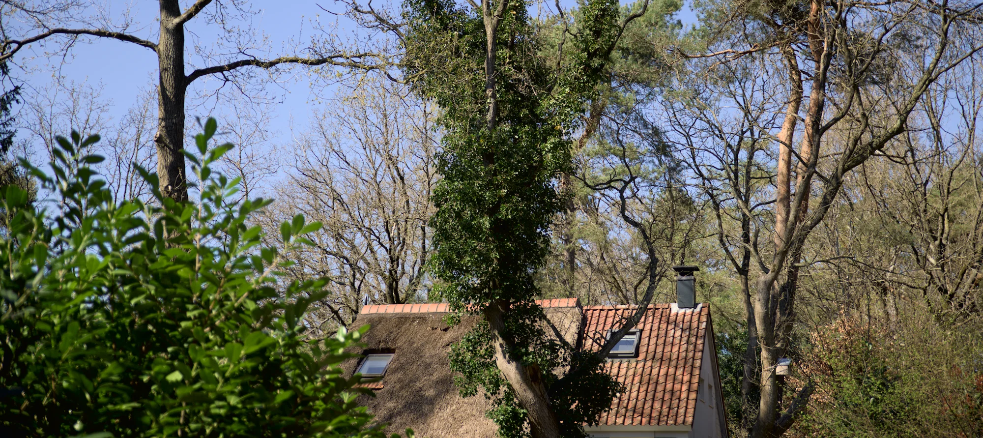 Huis met dak in bosrijke omgeving