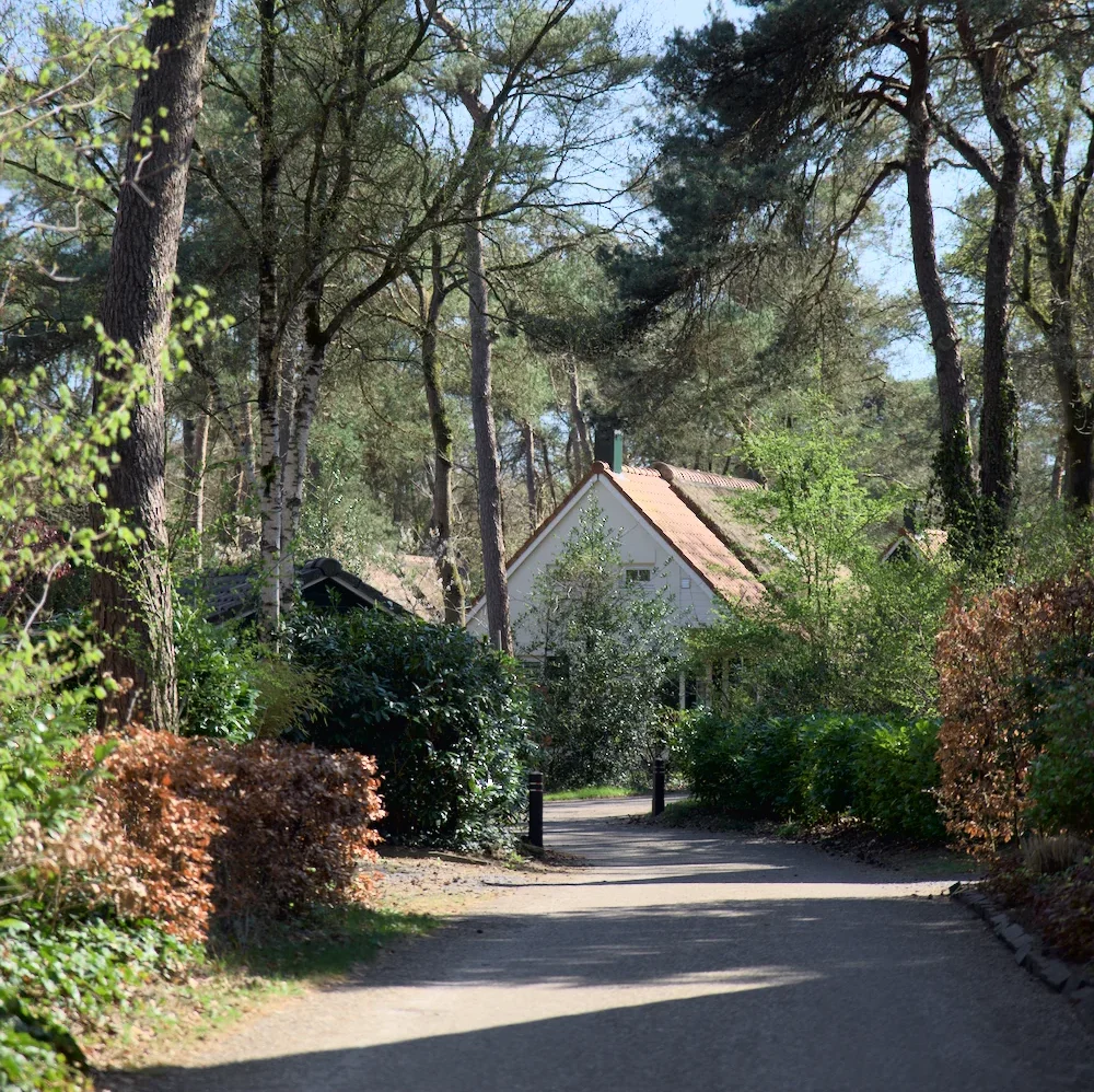 Huis in bosrijke omgeving met bomen en pad.