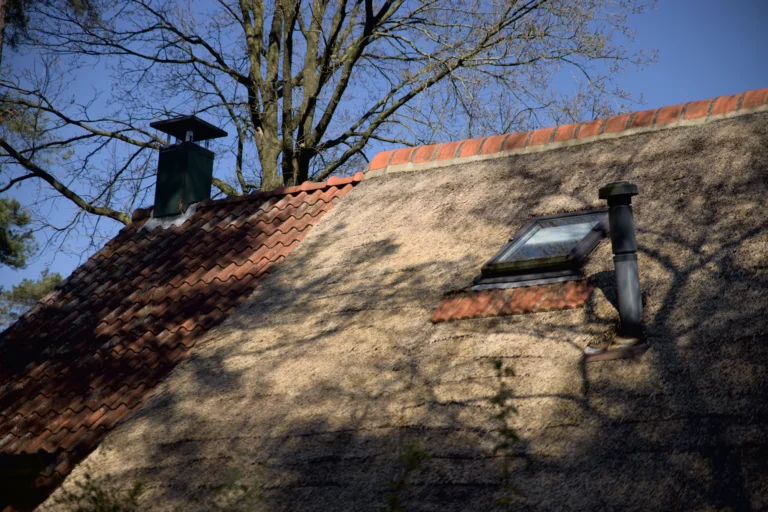Rieten dak met schoorsteen en dakraam bij boom.
