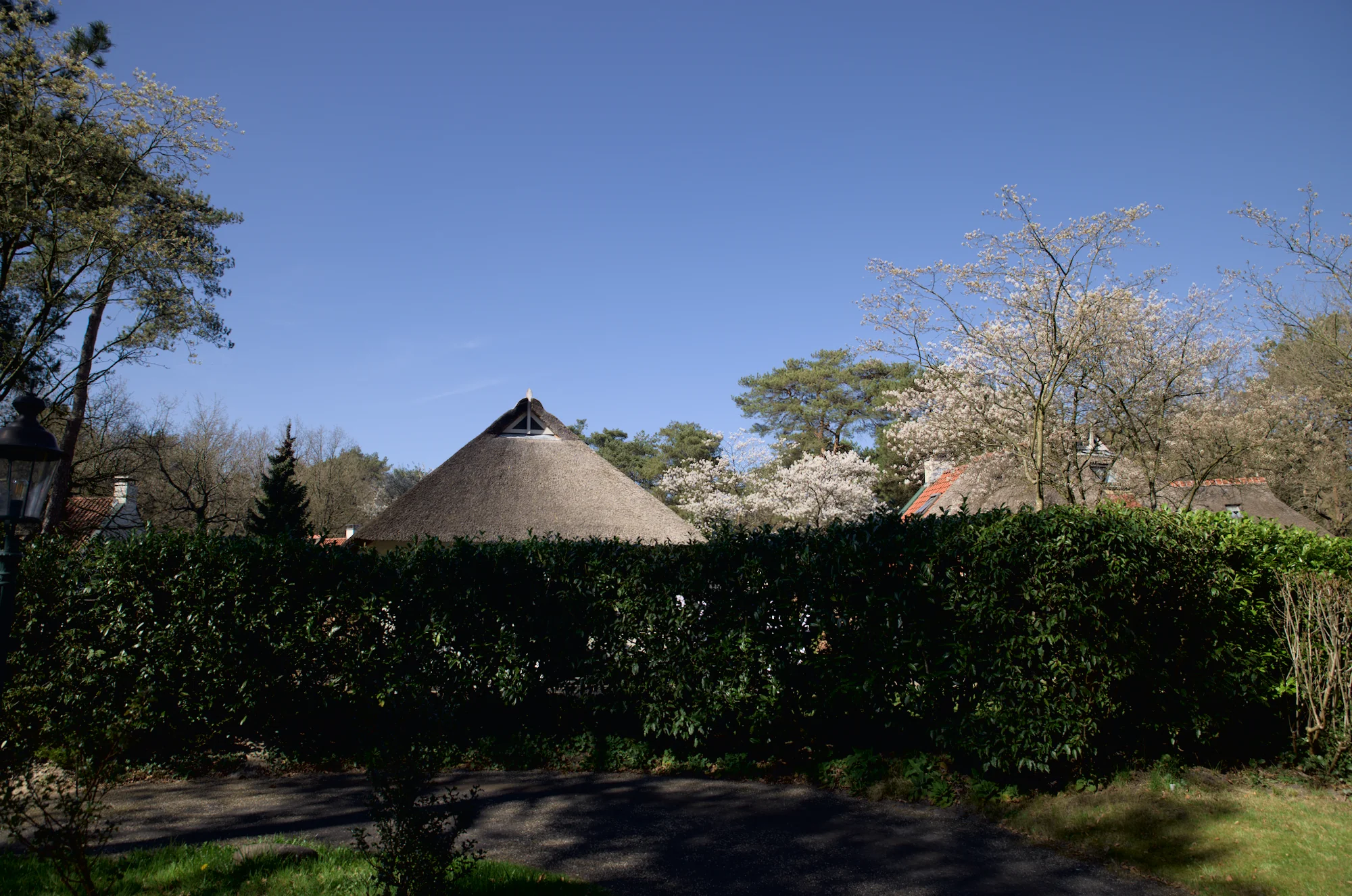 Rieten dak huis omgeven door bomen en struiken.