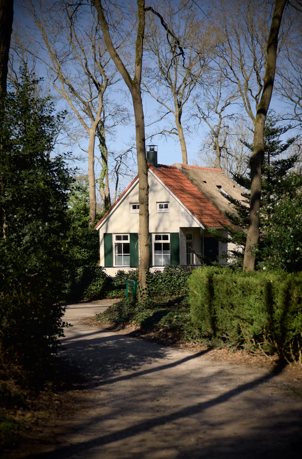 Rustiek huisje in bosrijke omgeving met zonlicht.